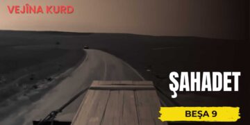 Şehadet – Danasîn