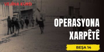 Operasyona Xarpêtê – Danasîn